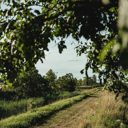 Willa Chalaalets Laa an der Thaya Zewnętrze zdjęcie